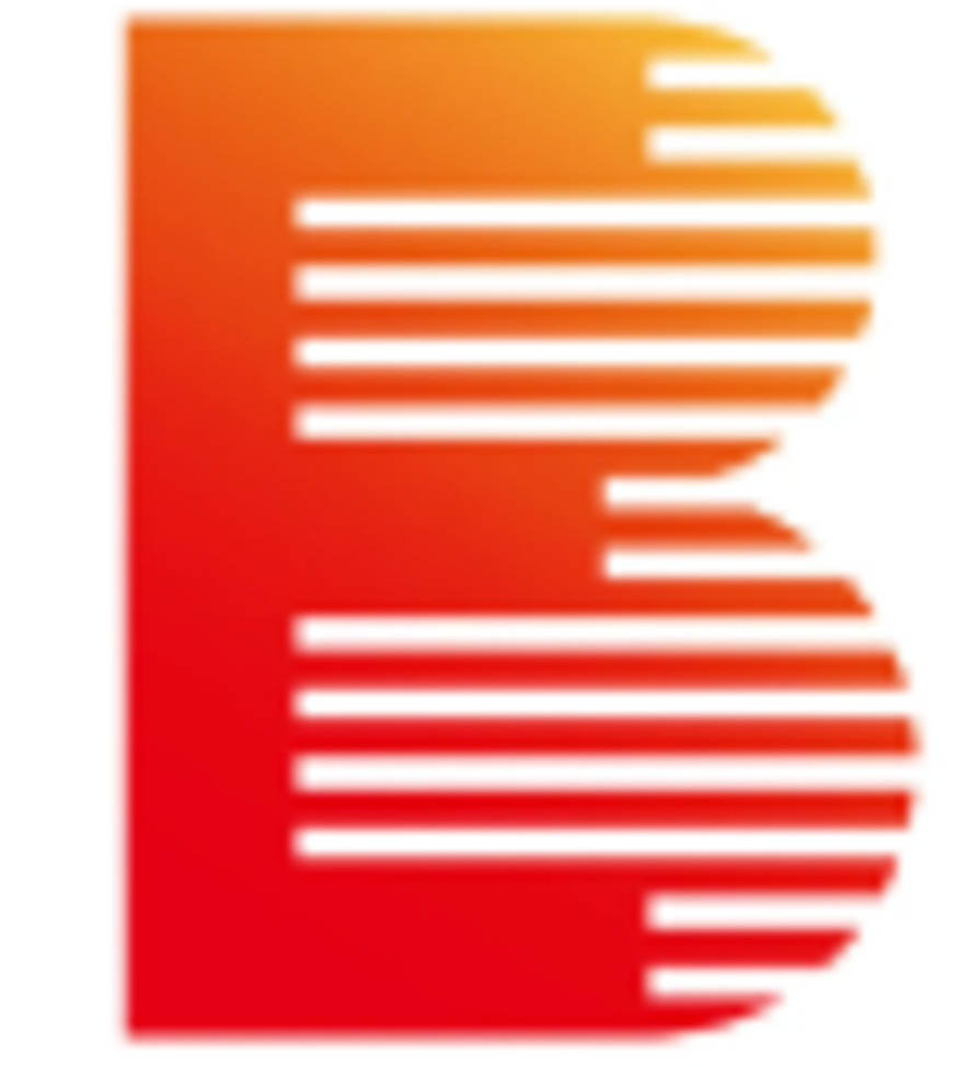 Everbright Securities International, Everbright Fortune IT